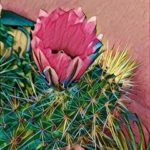 Candy Cactus photo