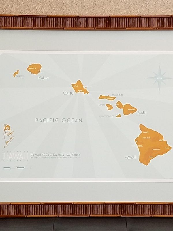 Framed Hawaiian Map