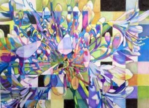 Agapanthus