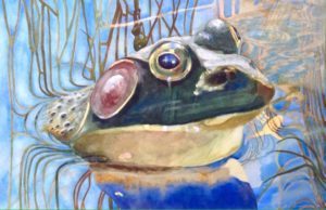 Frog Prince