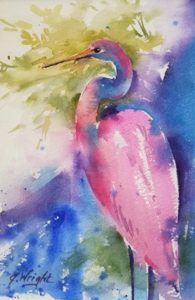 Pink Heron