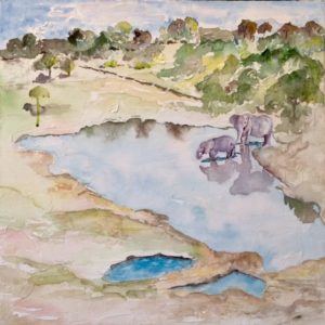 Watering Hole