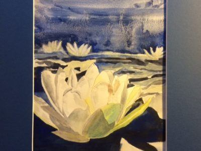Water Lillies