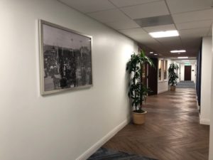 San Diego framing consultations